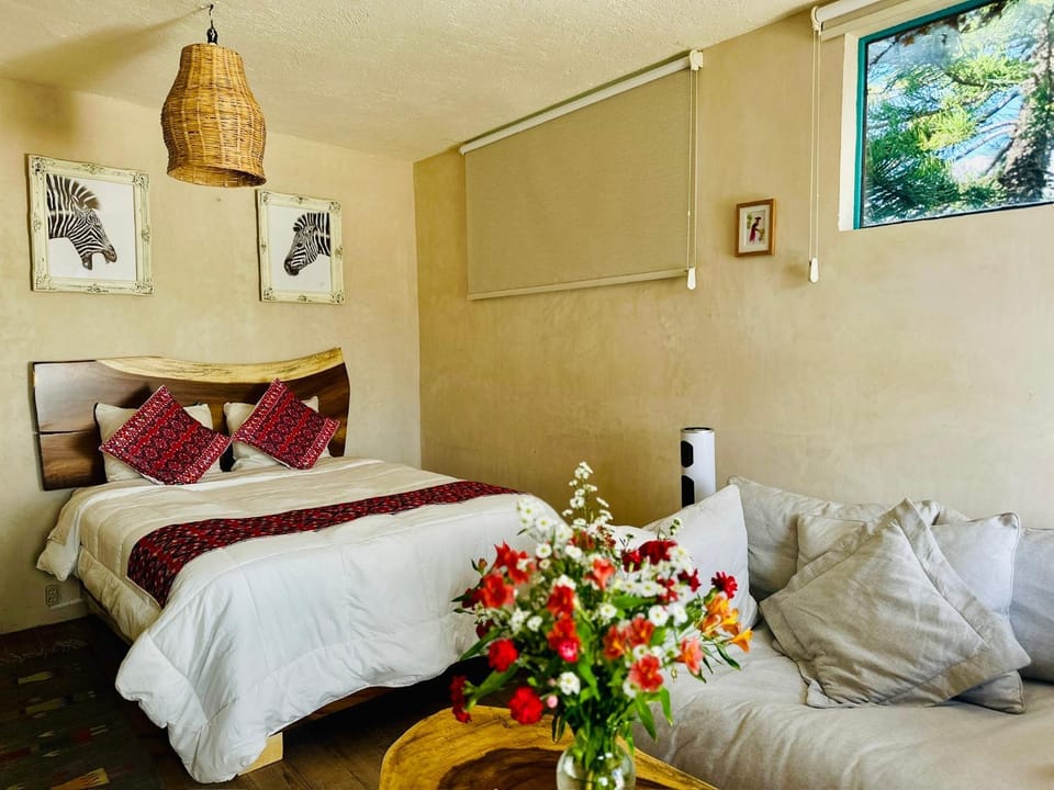 Casa Laura Apartment in San Cristobal de Casas