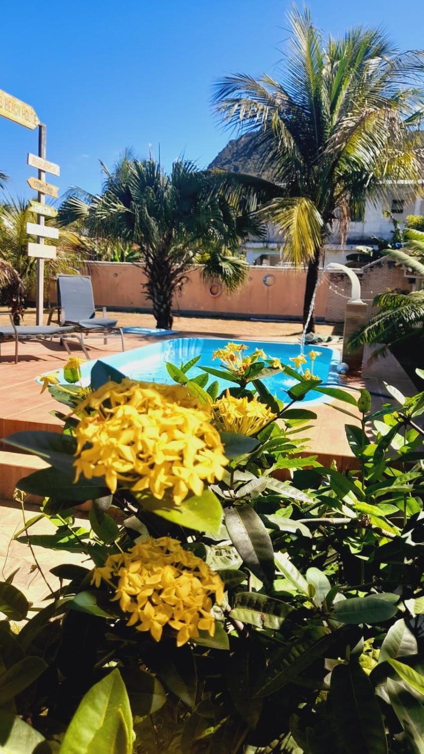 Garden, Swimming pool