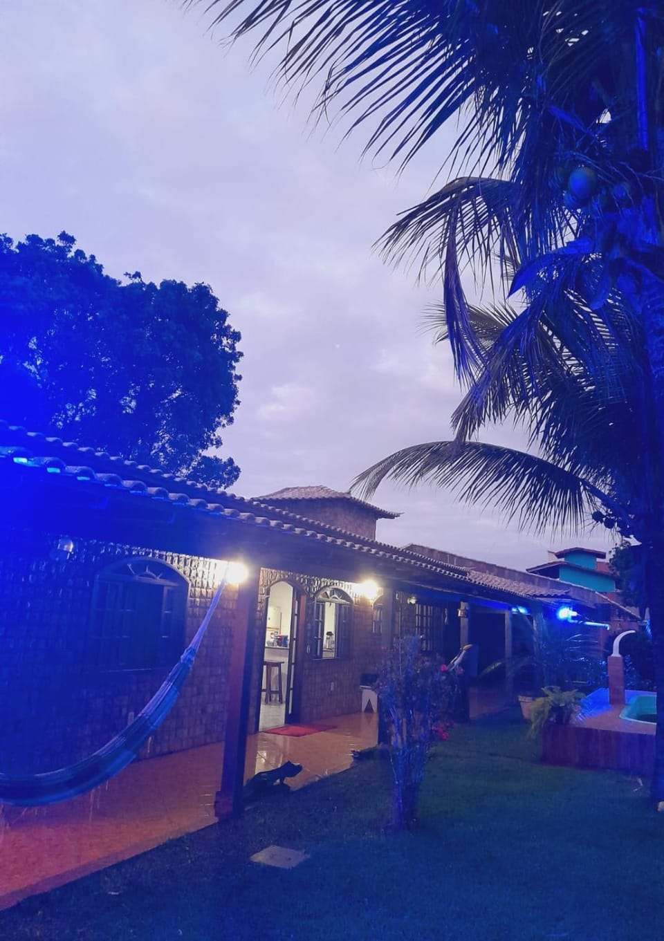 Garden view
