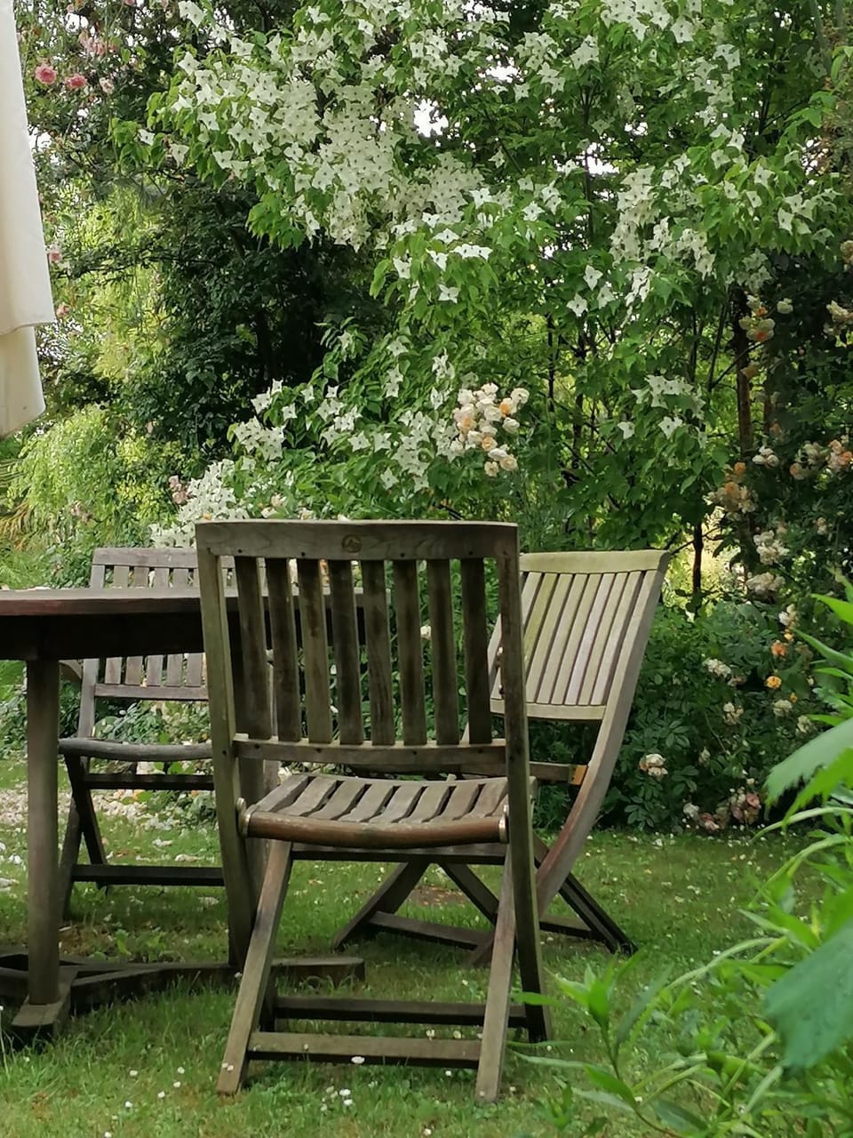 Natural landscape, Garden, Garden view