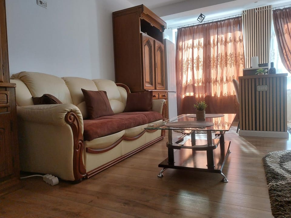 Teona Apartament Targu Neamt Apartment in Romania