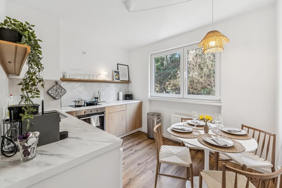 Kitchen or kitchenette, dishwasher, stove, stove, kitchen, kitchen