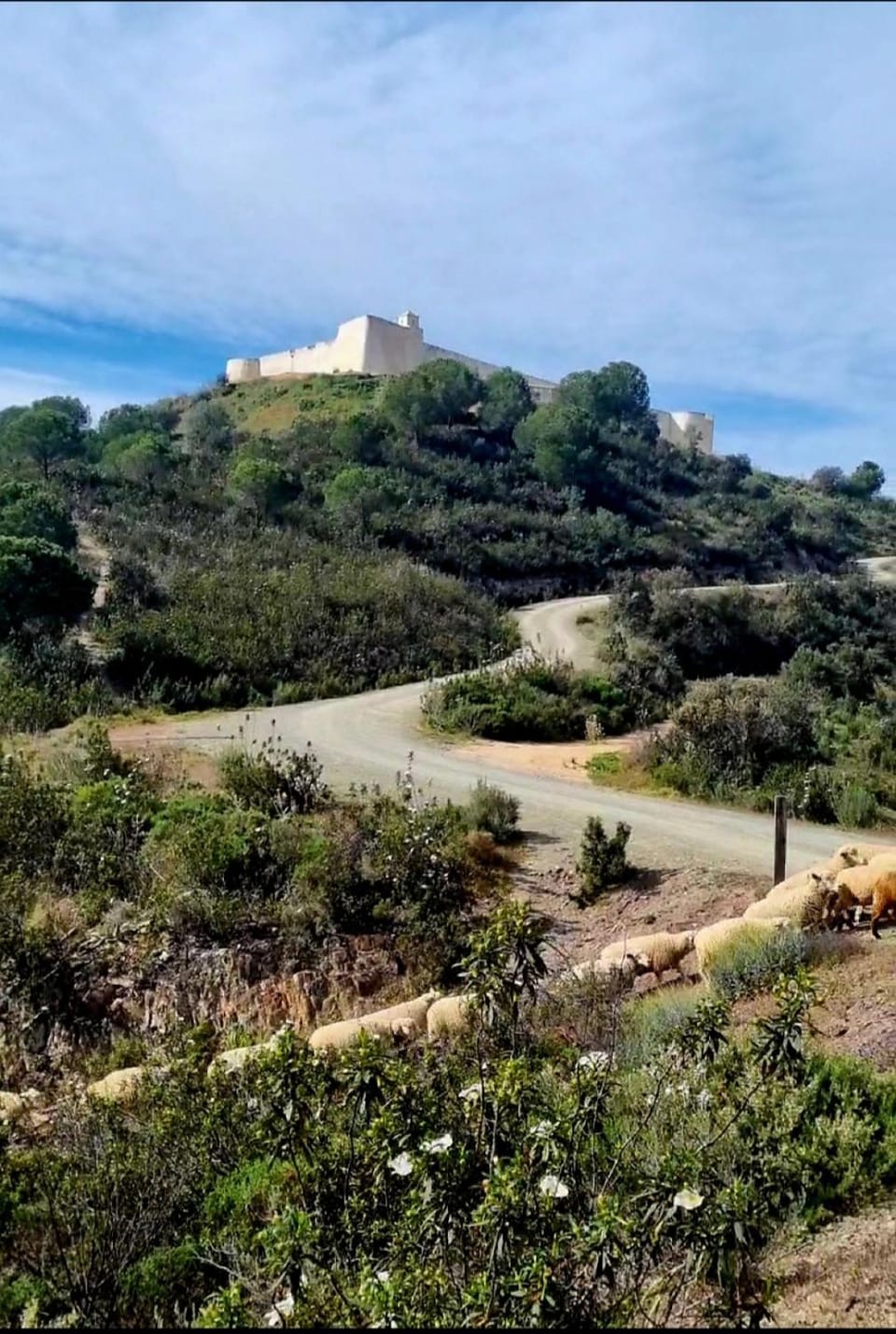 Nearby landmark, Natural landscape, Animals, Mountain view