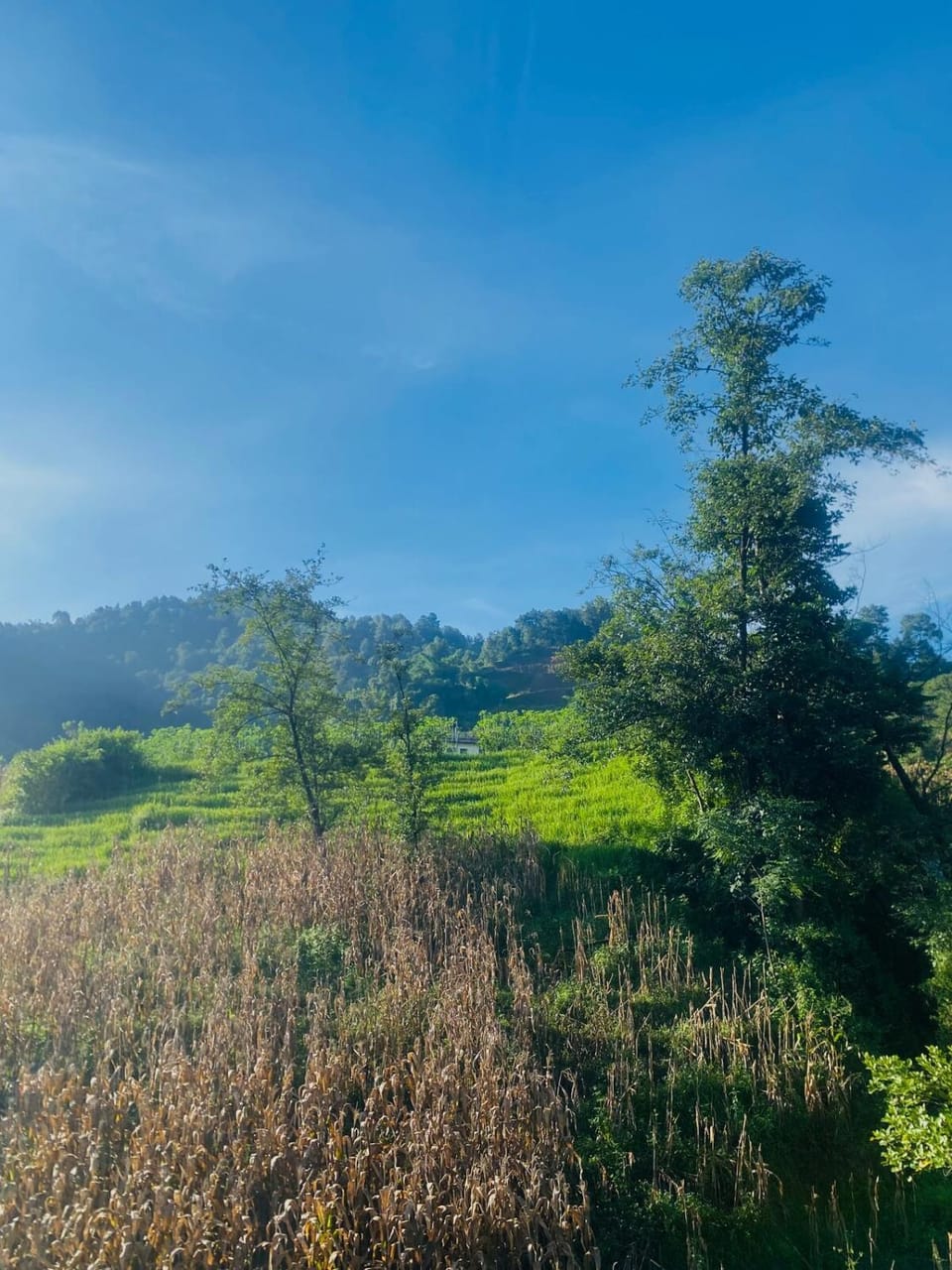 Bhaktapur Yog Homestay Vacation rental in Bagmati Province, Nepal