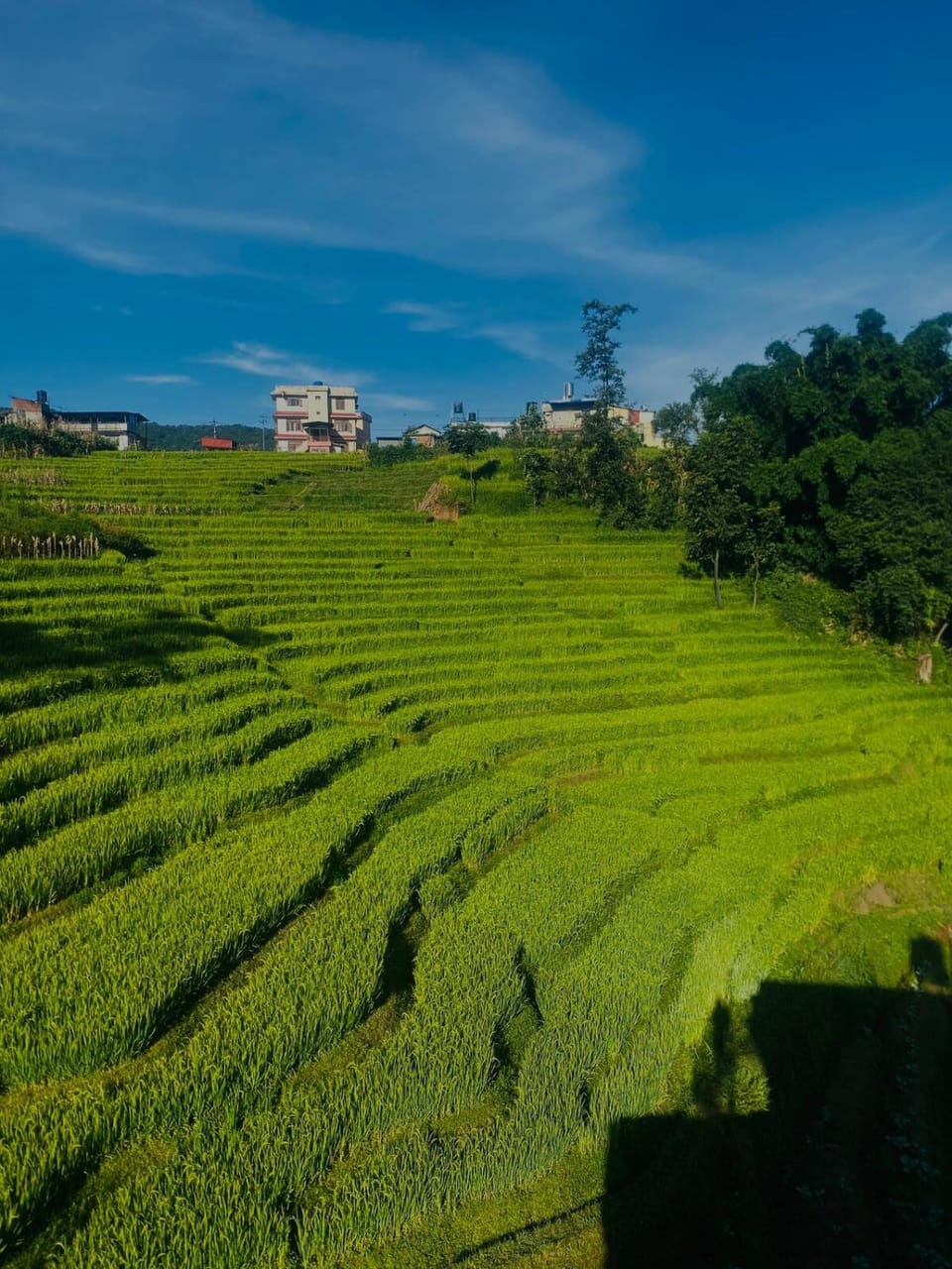 Bhaktapur Yog Homestay Vacation rental in Bagmati Province, Nepal