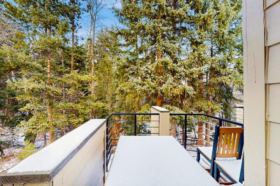 Tenmile Mountain House House in Frisco