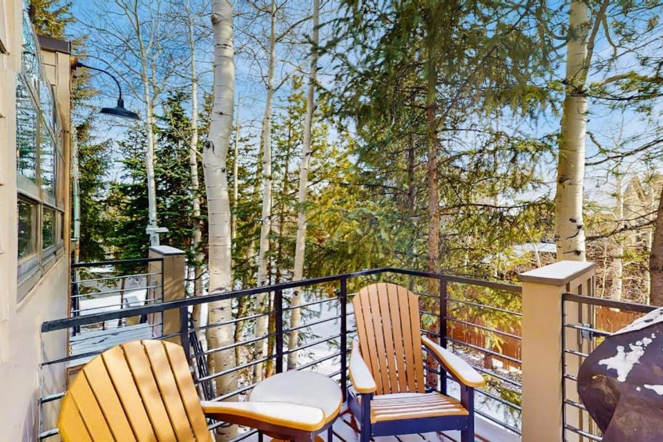 Tenmile Mountain House House in Frisco