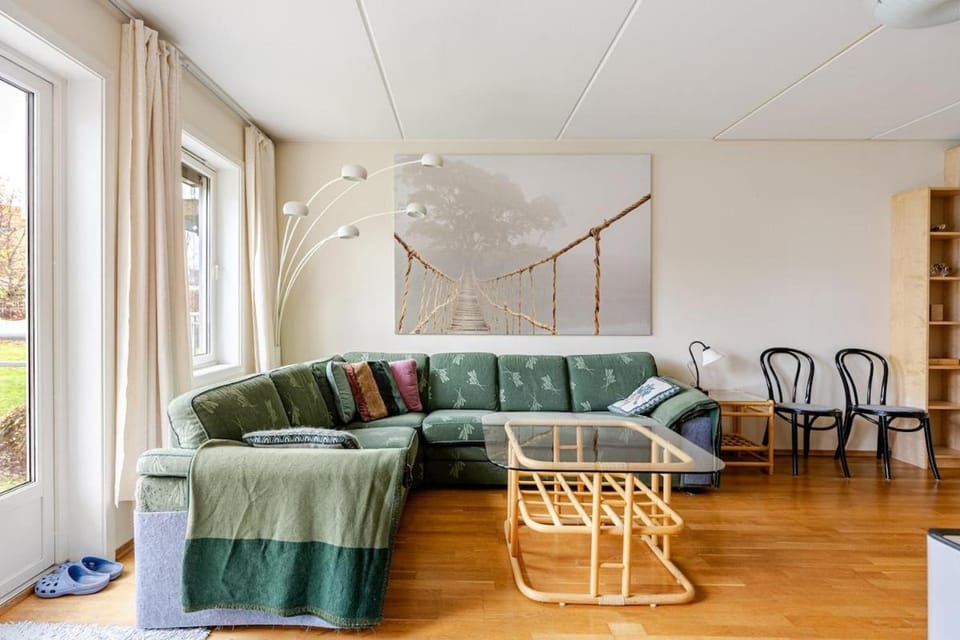 Nice place near Oslo - Ski Apartment in Viken, Norway