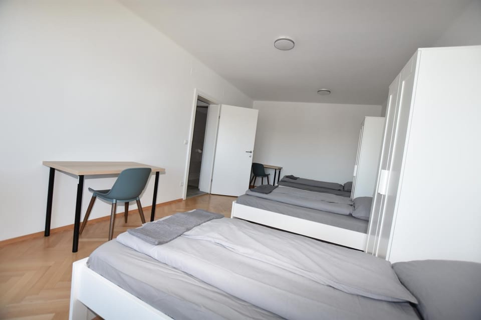 5 Einzelbetten Apartment Apartment in Graz