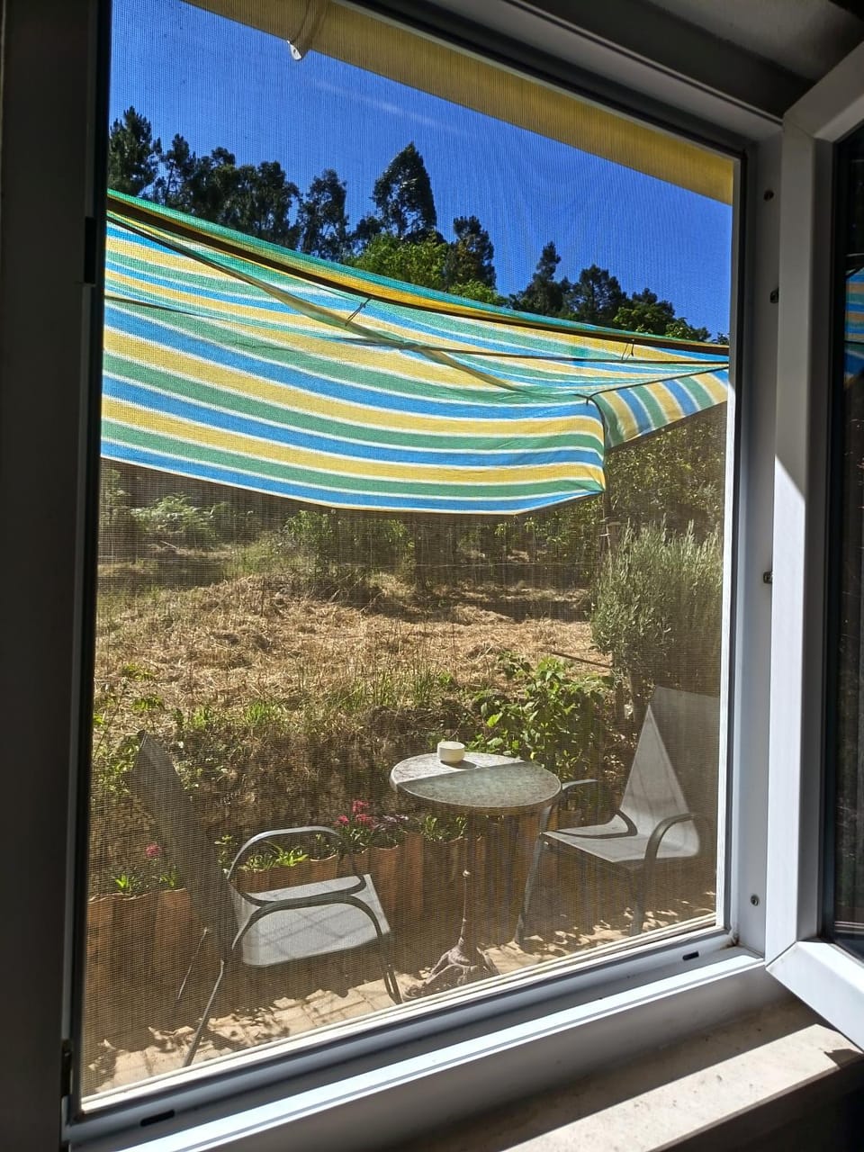 Garden view