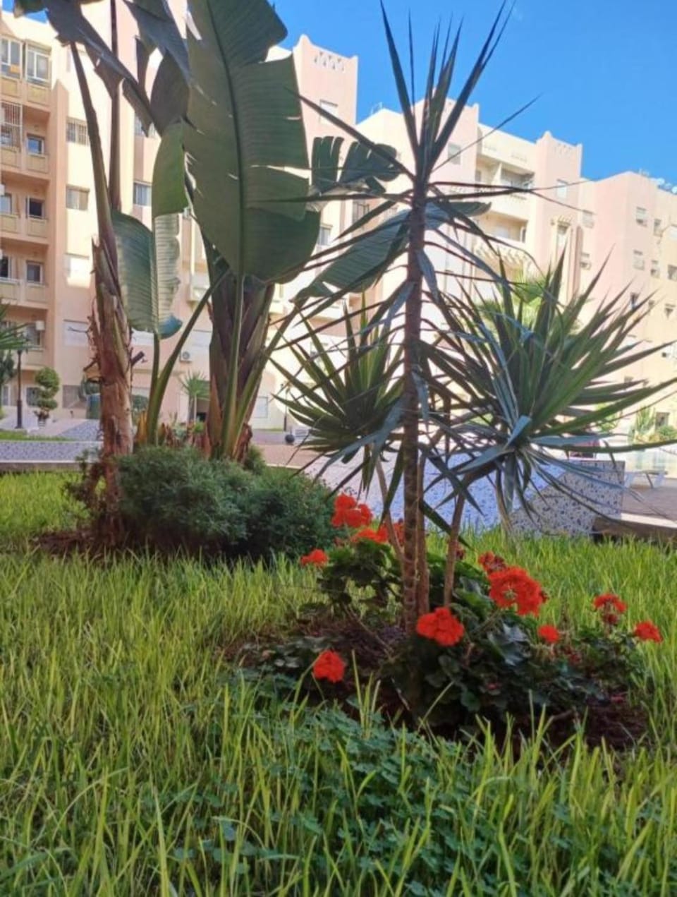 Natural landscape, Garden view