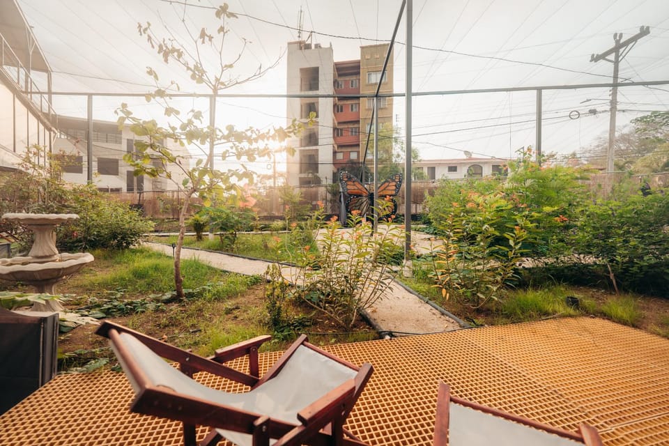 Off site, Garden view