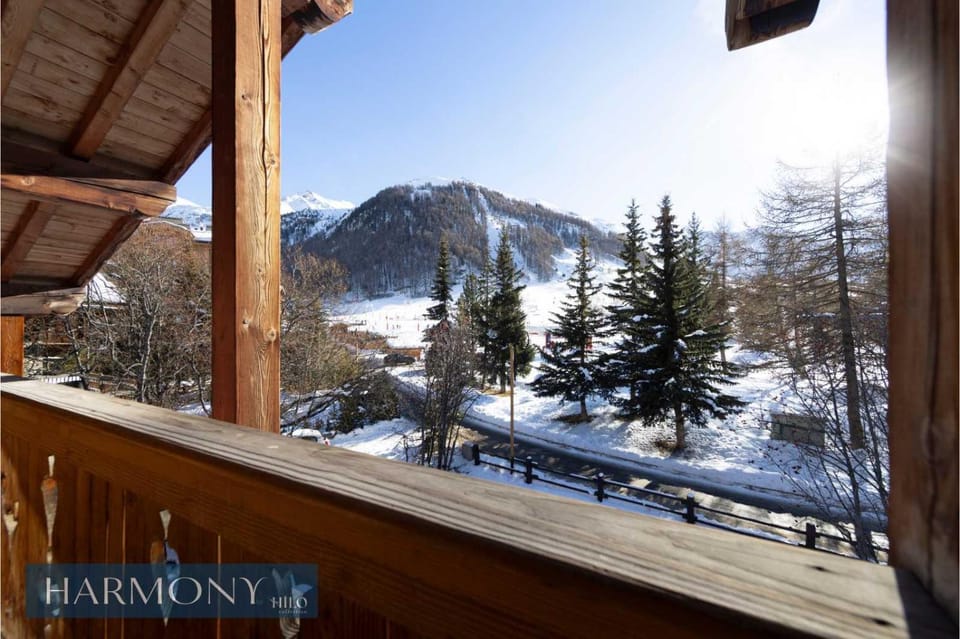 Edelweiss rustique suite of the Daphnes chalet Apartment in Val dIsere