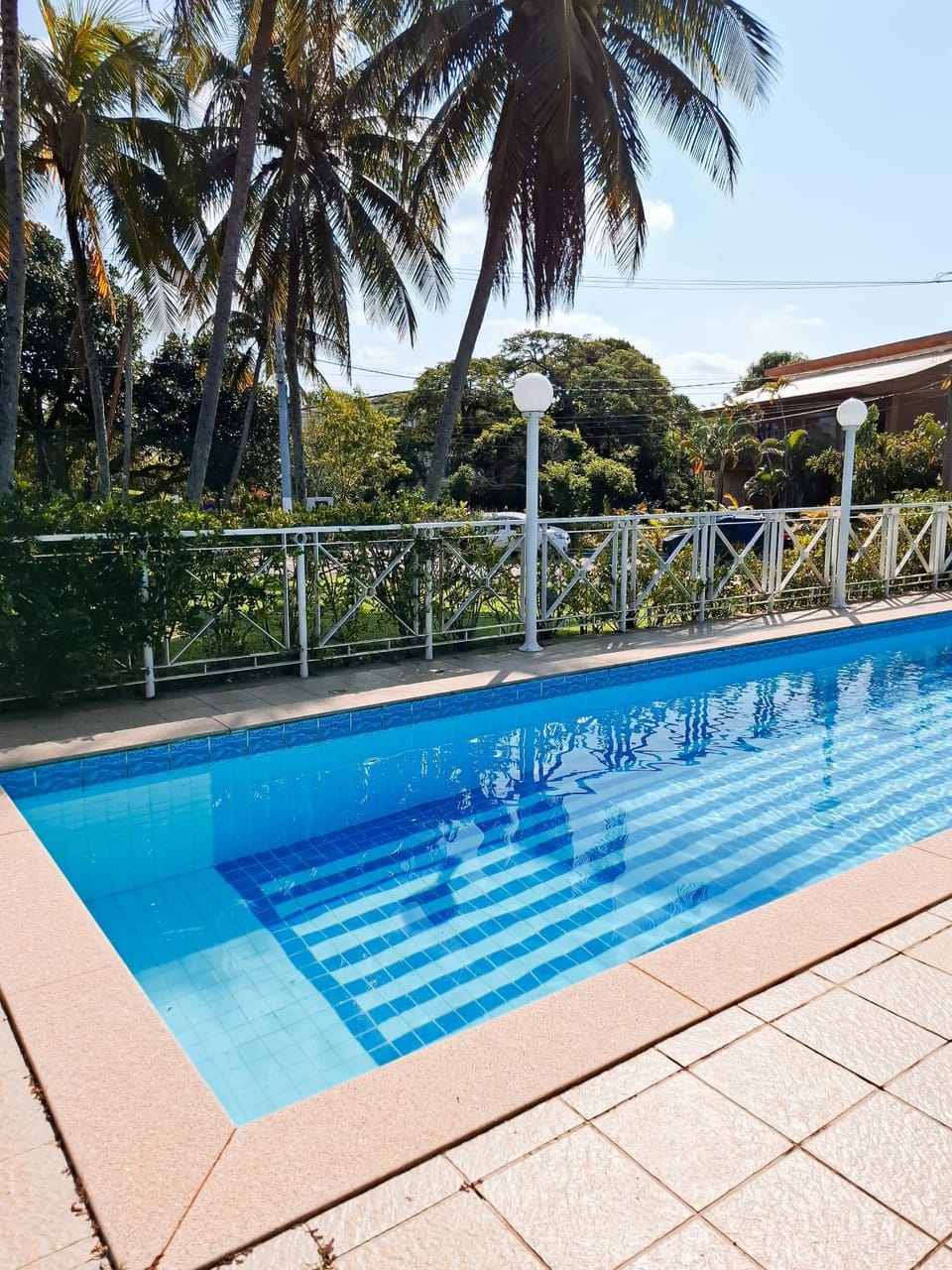 Day, Pool view, Swimming pool, Swimming pool