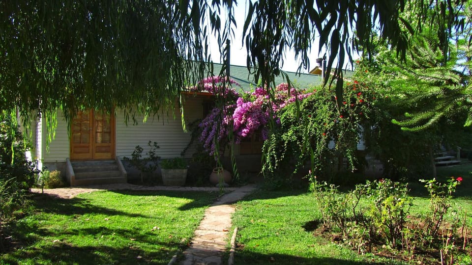 Property building, Day, Garden