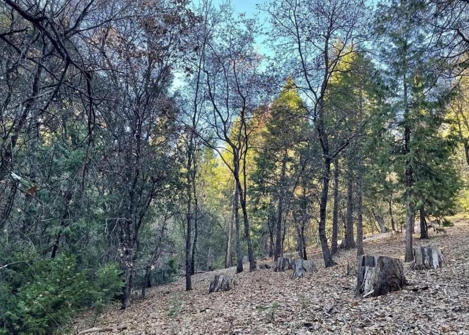 Gold Rush Historical Resort Campground/ 
RV Resort in Calaveras County