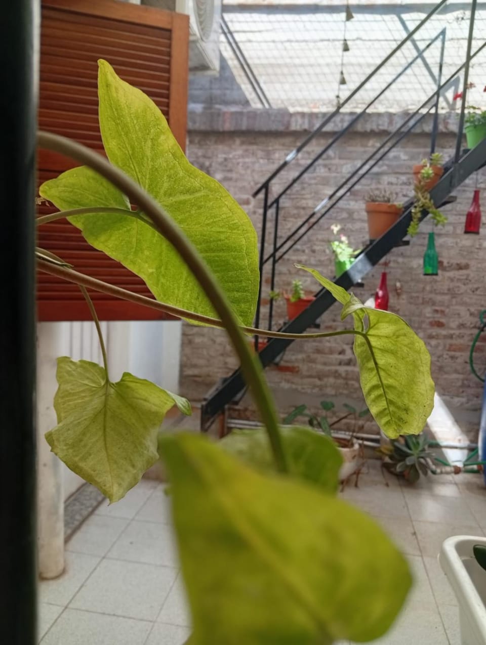 Yeshua25 Apartment in San Nicolás de los Arroyos