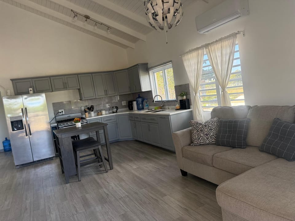 Coffee/tea facilities, Kitchen or kitchenette, Living room, Seating area, Dining area, oven, stove