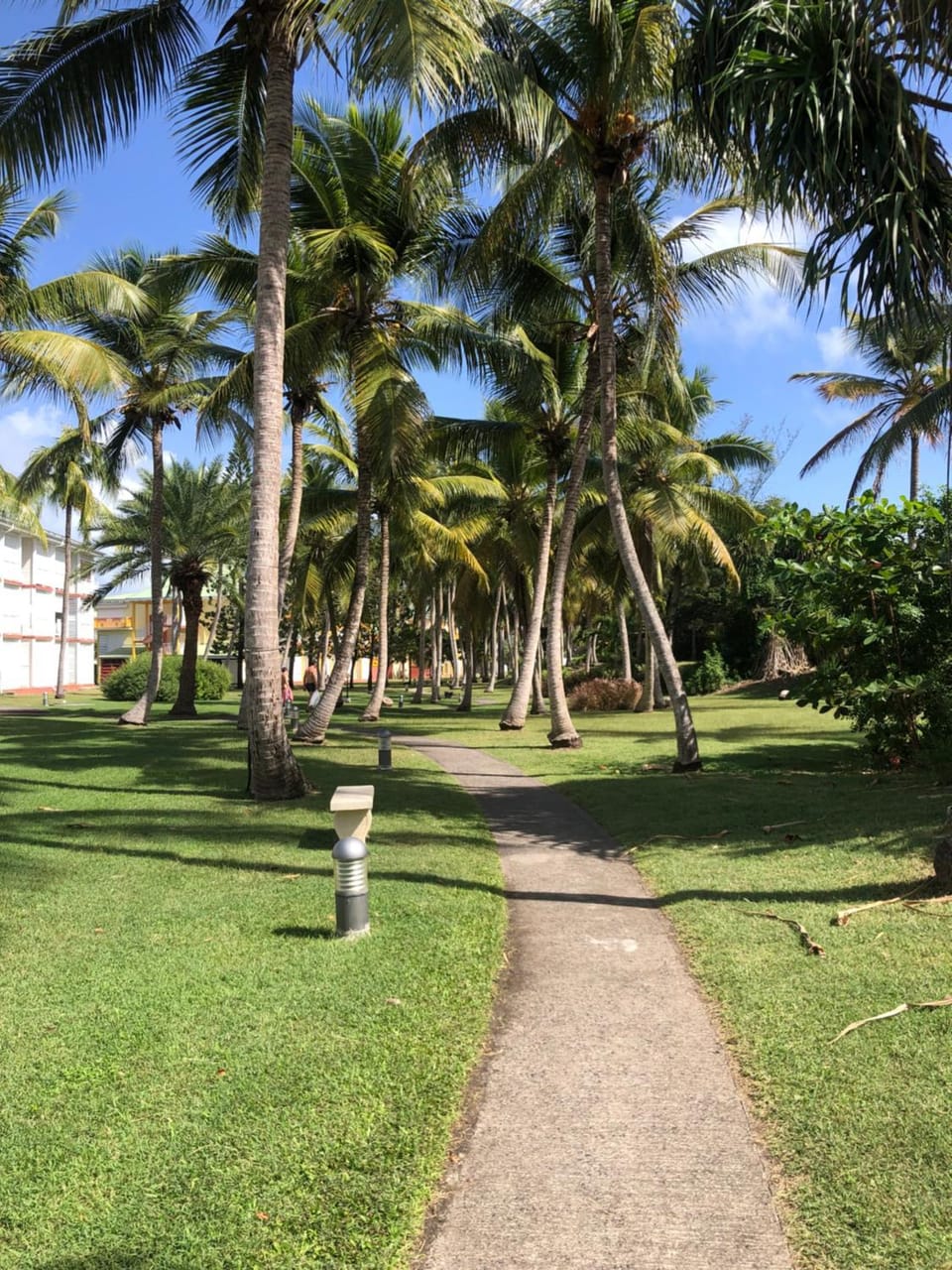 Natural landscape, Garden view