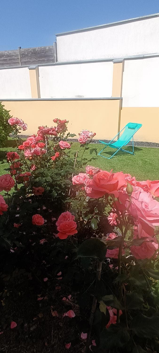 La Pause Bleue Vacation rental in Dinard