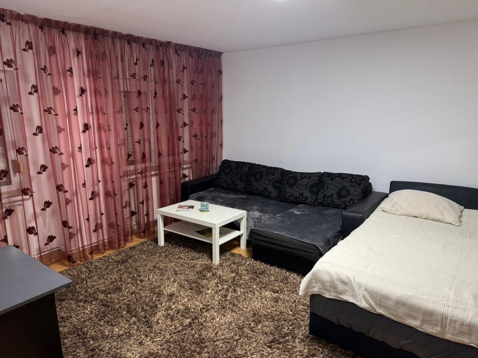 Apartament 50m2 cu pat matrimonial si canapea extensibila Apartment in Craiova