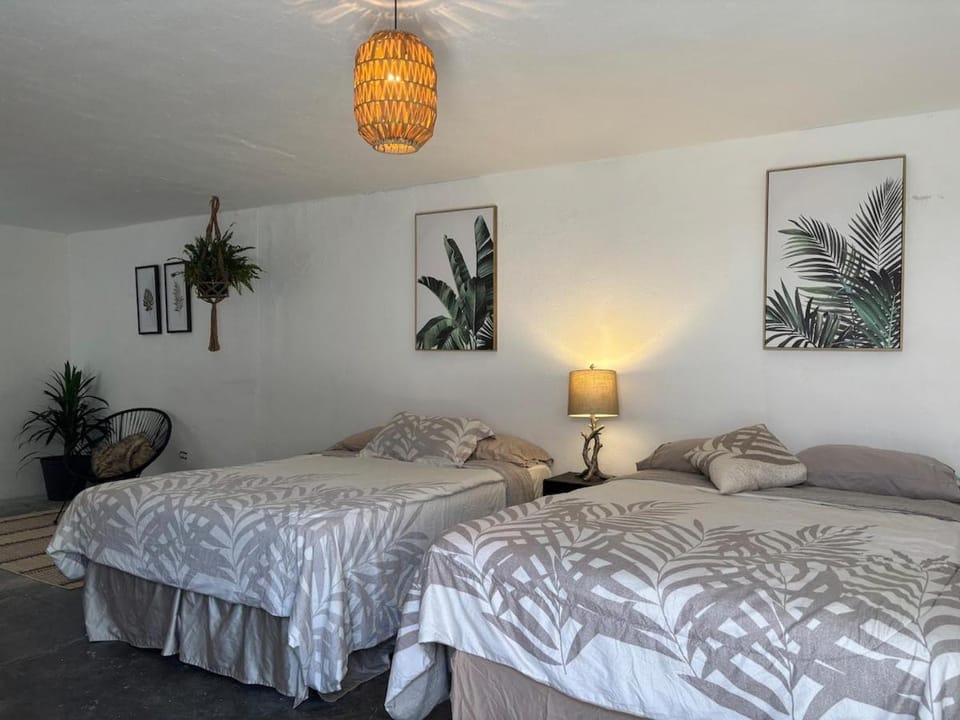 Apartment #3 for 4 WiFi-centric-consulate Apartment in Brownsville