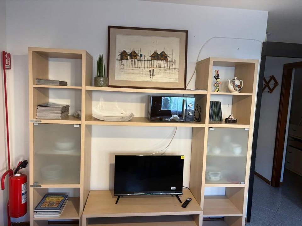 TV and multimedia