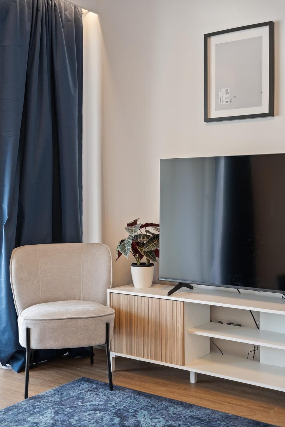 TV and multimedia