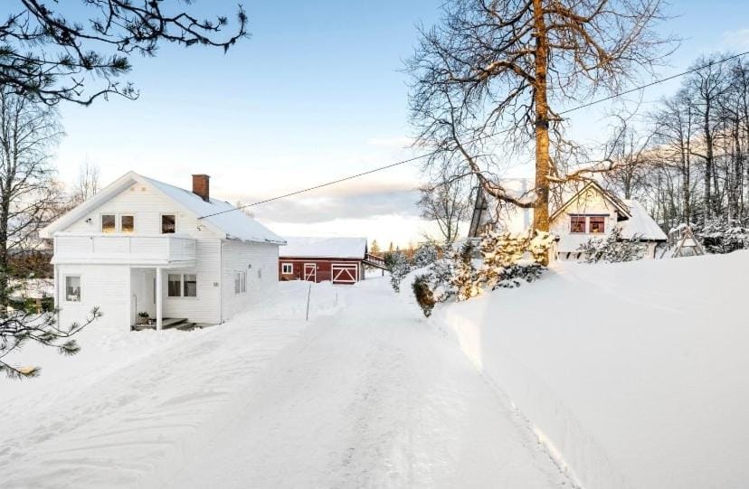 Property building, Winter
