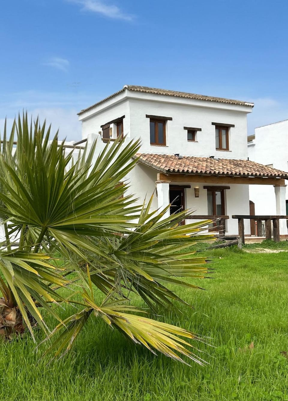 Property building, Spring, Day, Garden, Garden view
