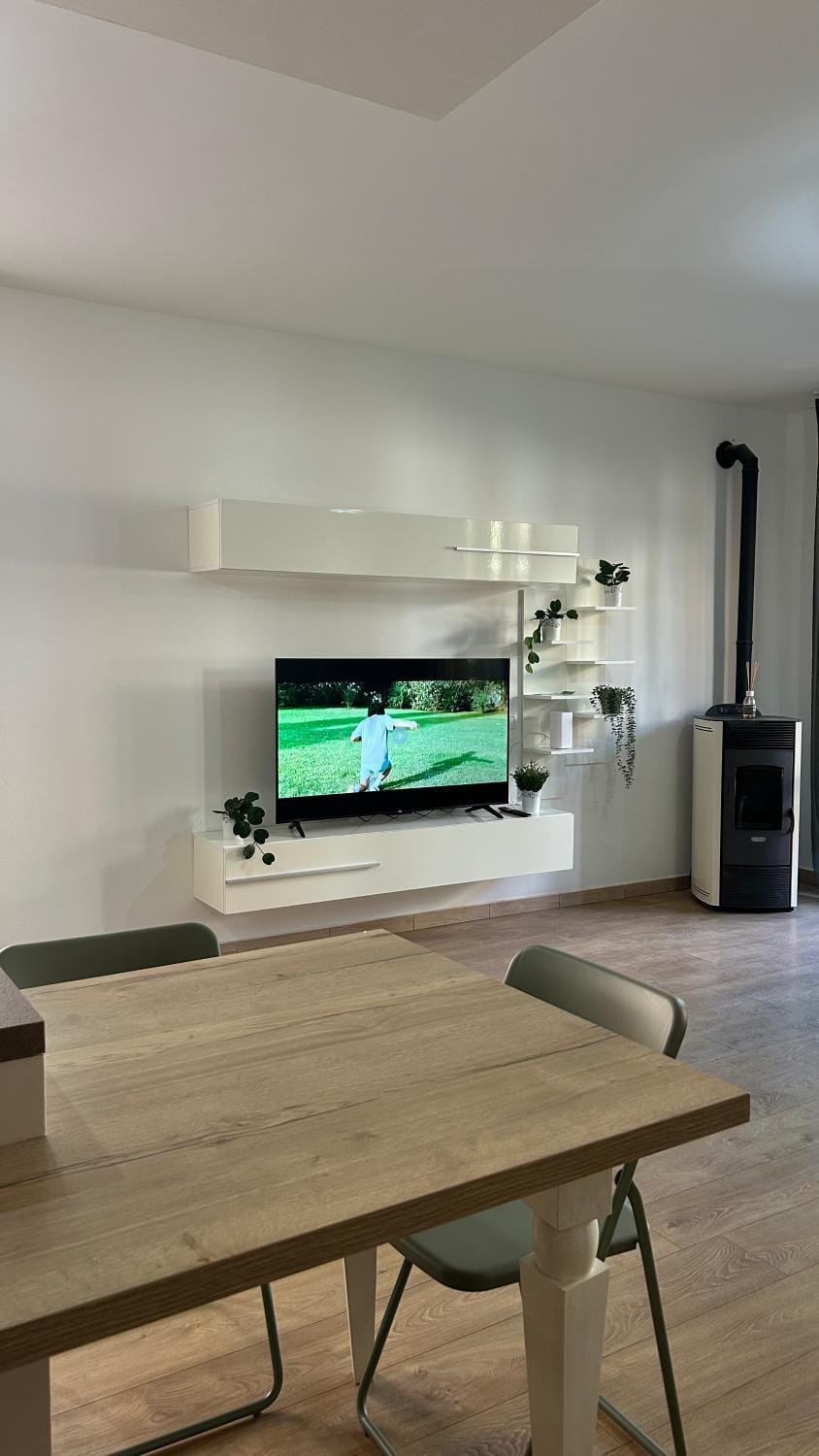 TV and multimedia