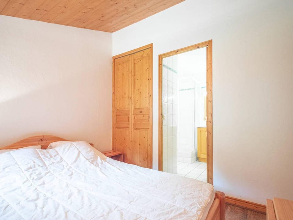 Duplex 5 pièces avec balcon, animaux acceptés, skis aux pieds - FR-1-291-732 Apartment in Les Avanchers-Valmorel