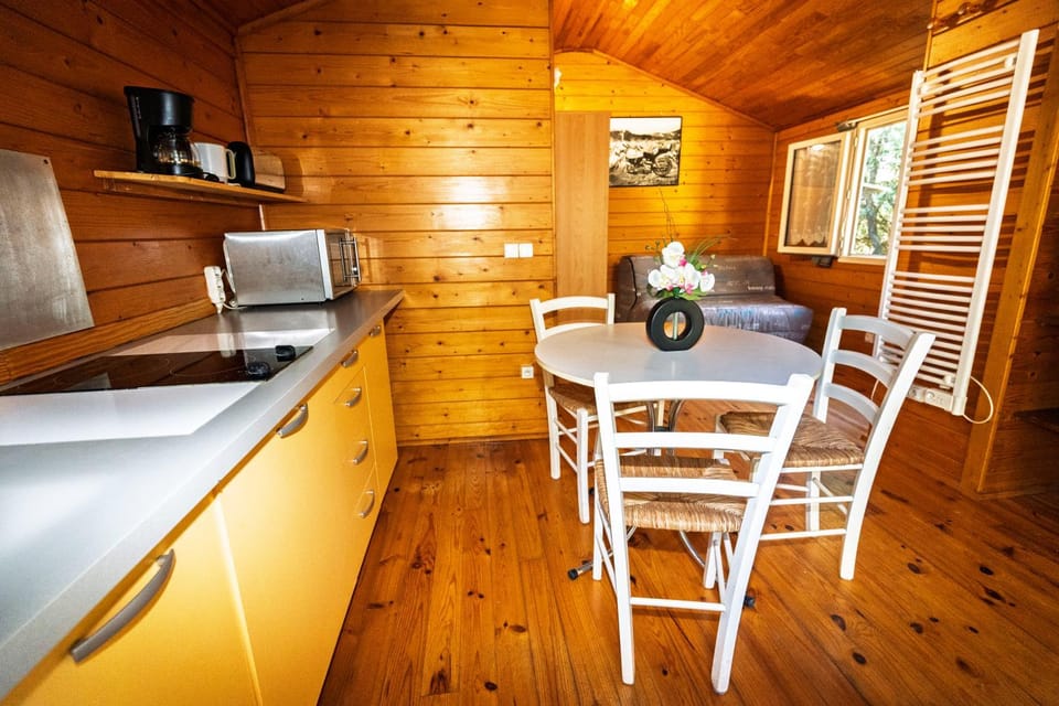 GITES DE PLOS Studio avec PISCINE Apartment in Occitanie