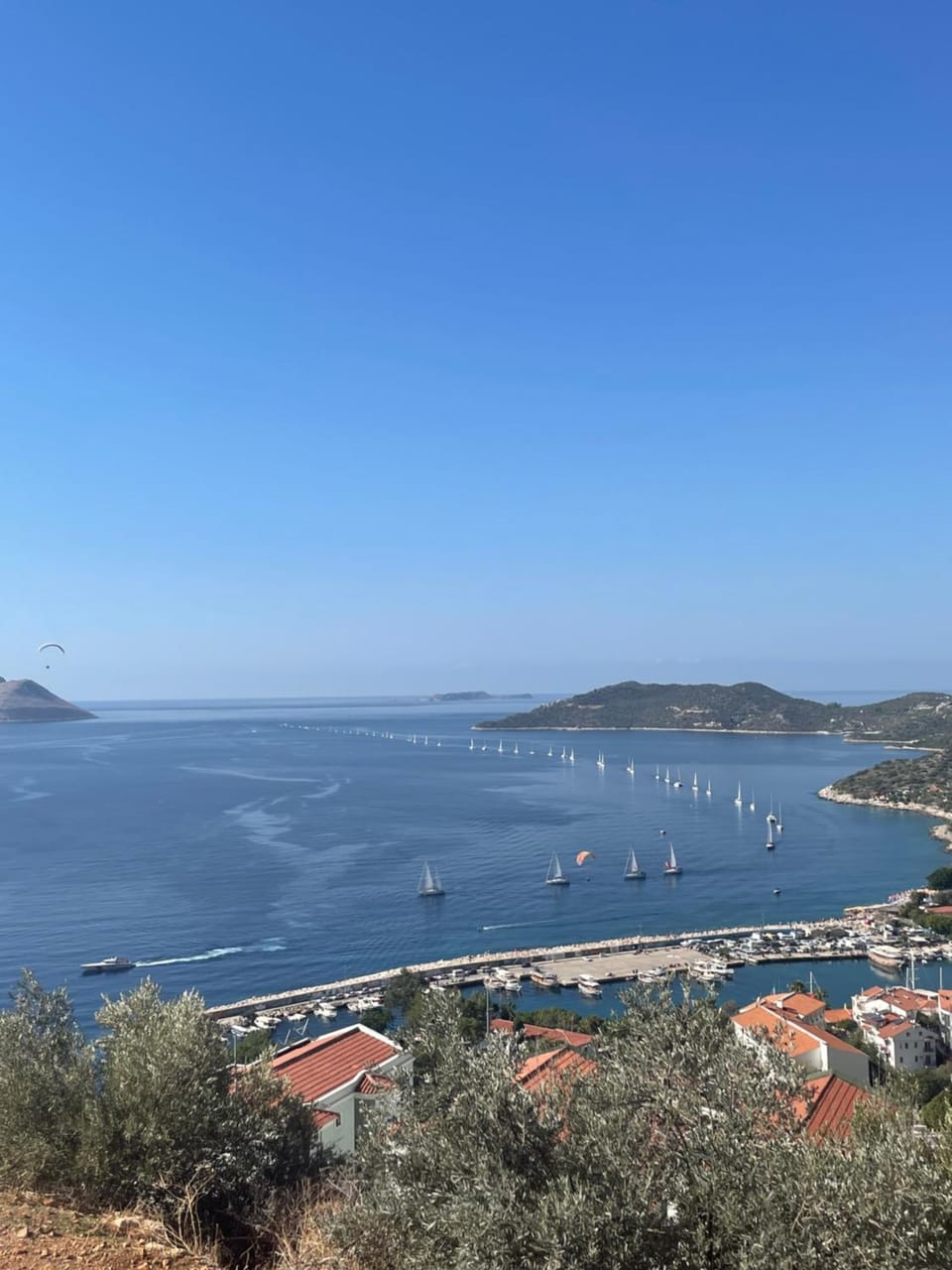 Sea view