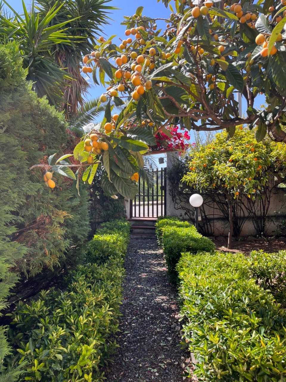 Natural landscape, Garden