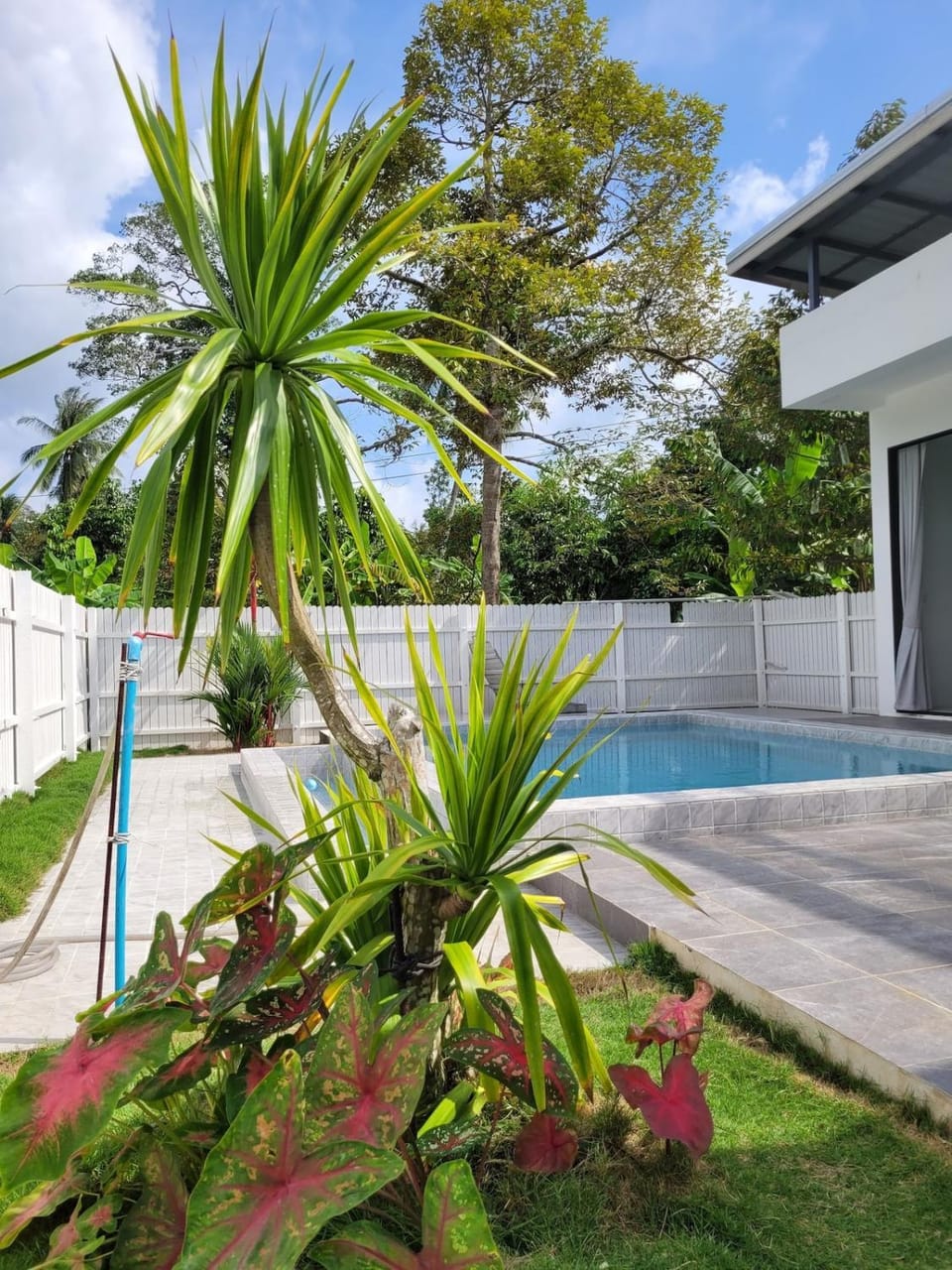 Garden, Garden, Balcony/Terrace