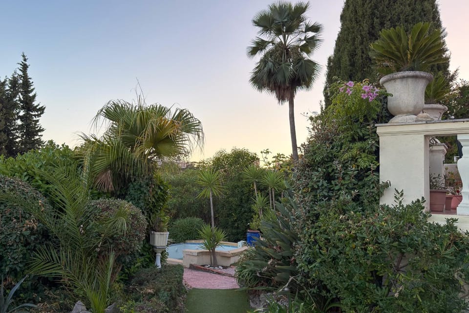 Day, Natural landscape, Garden, Garden view, Pool view, Swimming pool
