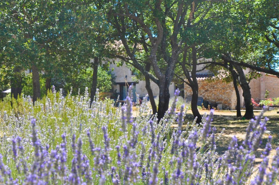 Day, Summer, View (from property/room), View (from property/room), On site, Garden view, Garden view