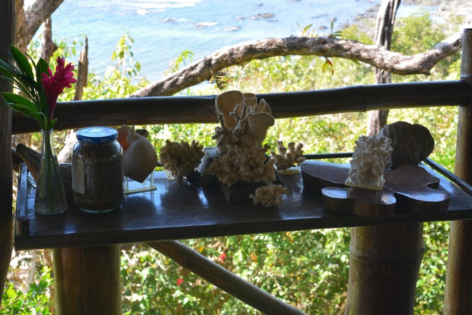 TreeTops Inn Bed and Breakfast in Guanacaste Province