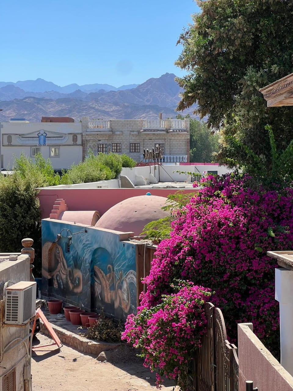 Divers House Hotel in South Sinai Governorate