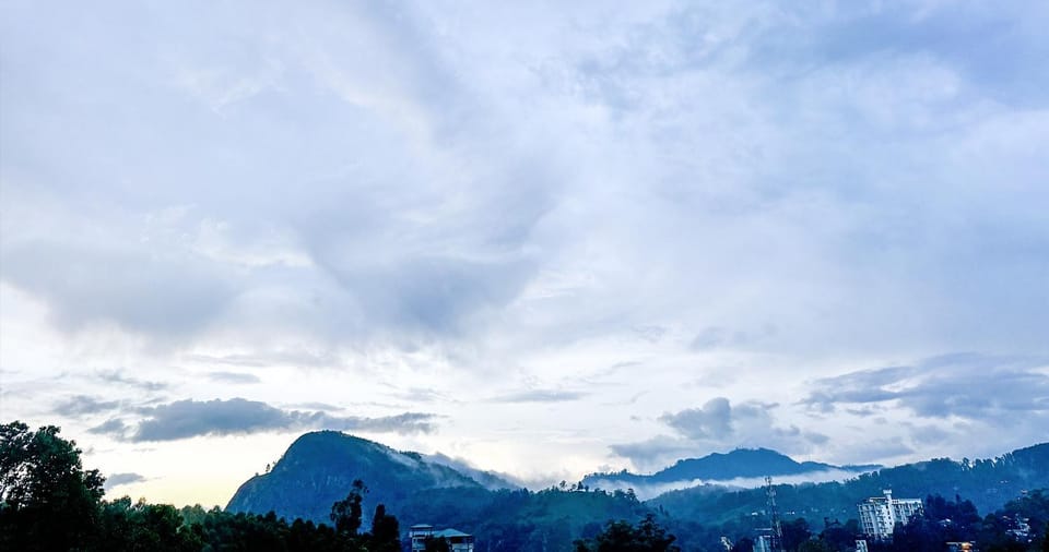 View (from property/room)