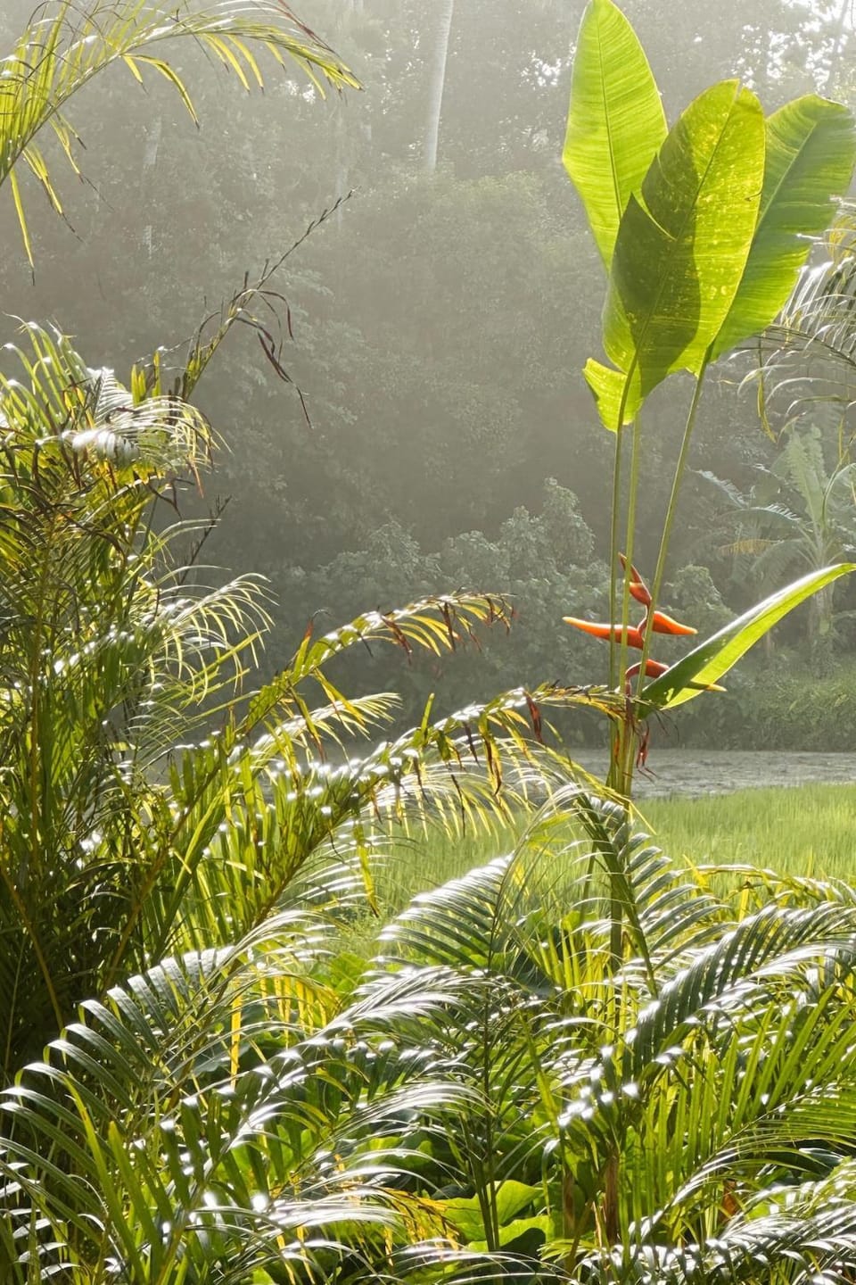 Natural landscape