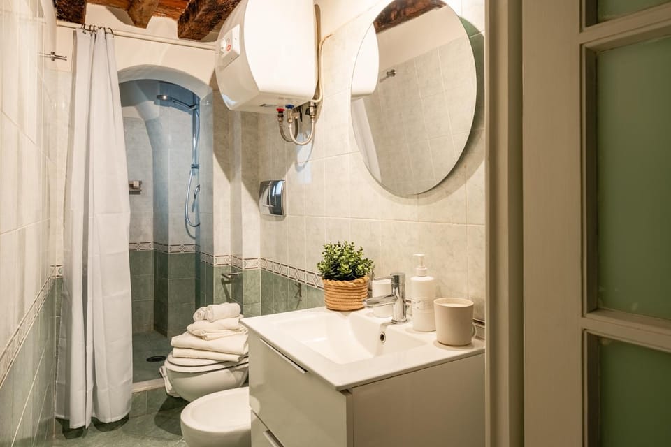 Shower, Toilet, Bathroom, towels