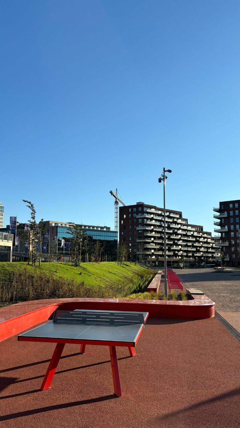 Property building, Table tennis