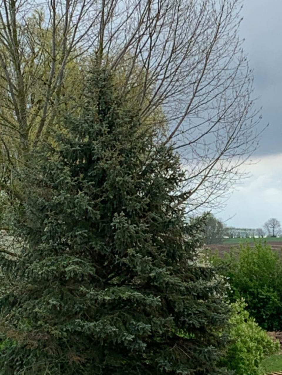 505 Heuboden Apartment in Grömitz