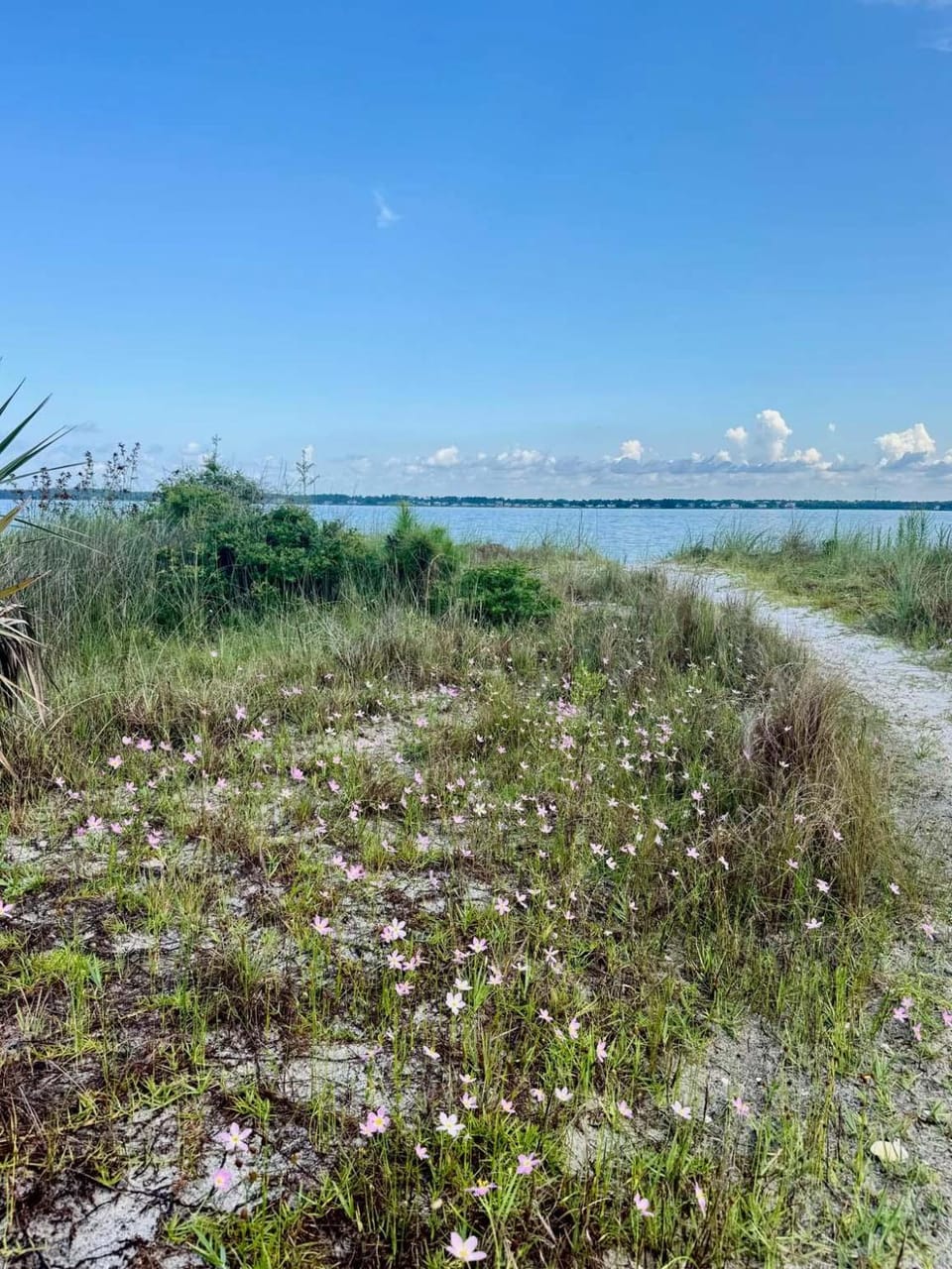 White Sands Beach Retreat House in Pensacola Beach