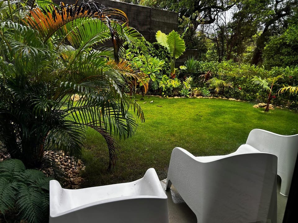 Spring, Garden, Garden view