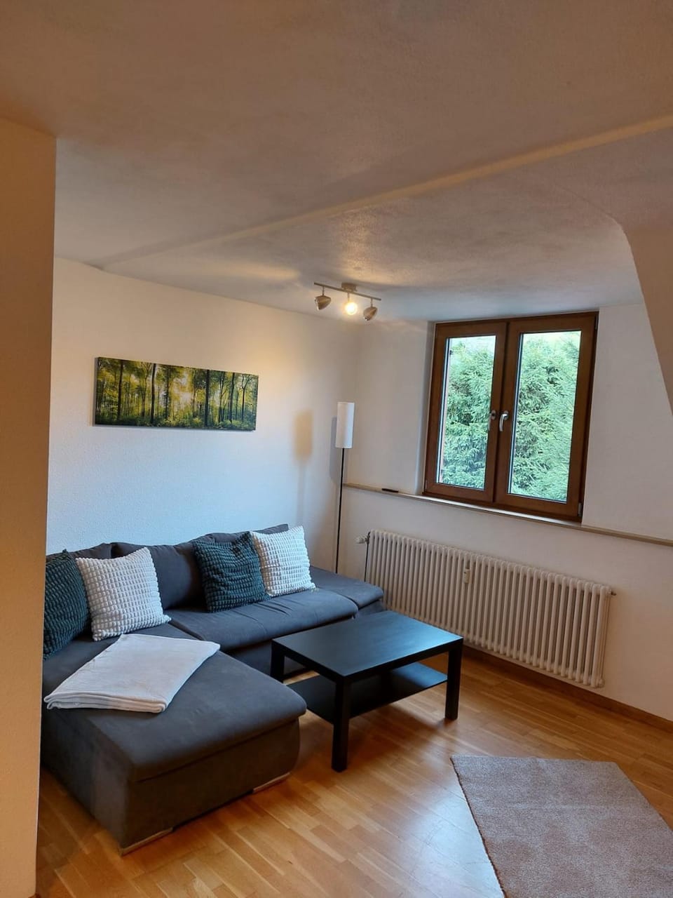 Living room, Photo of the whole room