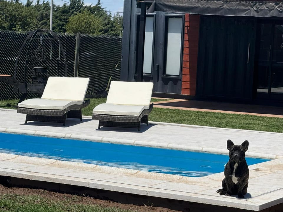 Property building, Day, Solarium, Pets, Pool view, Swimming pool, sunbed