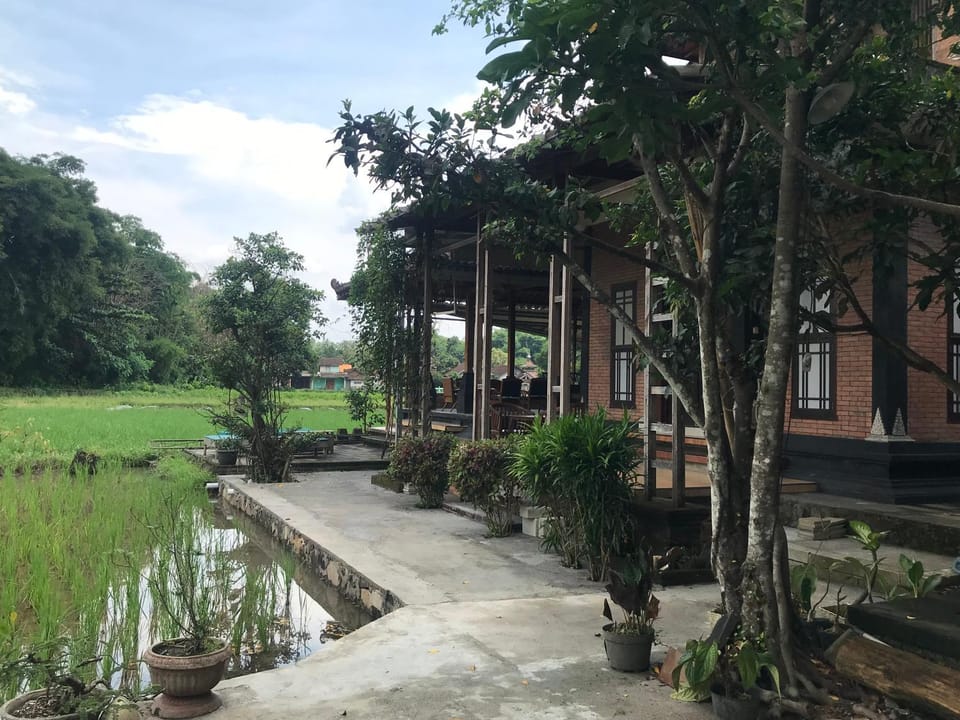 Property building, Natural landscape, Garden, Garden view